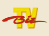 канал BIZ TV