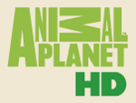 Канал ANIMAL PLANET HD